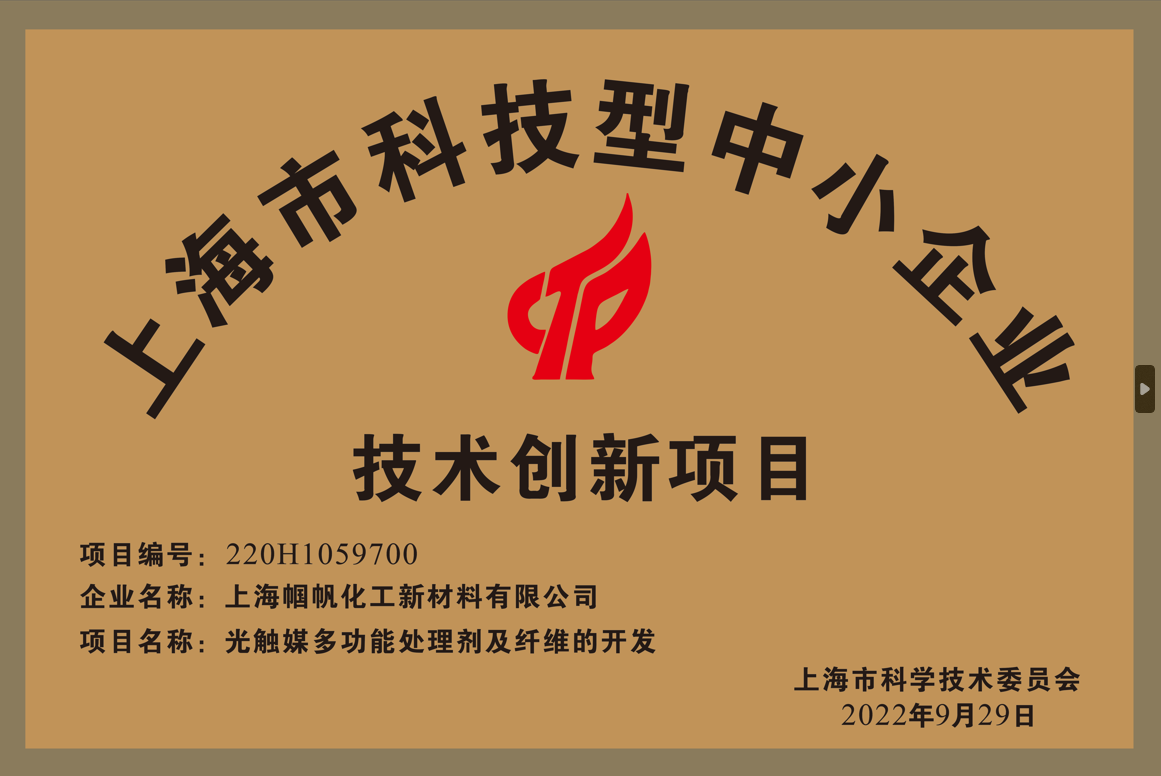 上海幗帆-上海市科技型中小企業(yè)技術創(chuàng)新項目