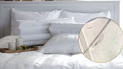 防螨抗菌整理劑 JYK AMB-120