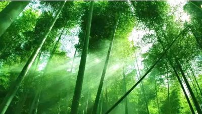 負離子整理劑JYK AI-350