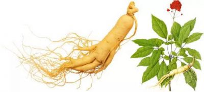 人參整理劑JYK GE125