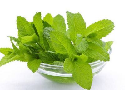 薄荷醇整理劑JYK MET-15