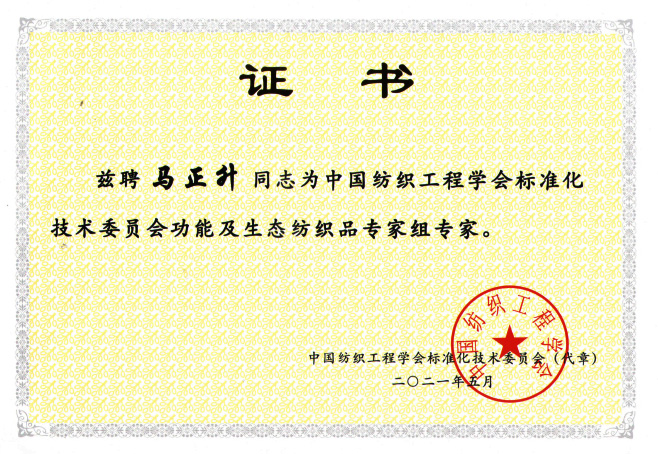 標準化技術委員會專家組專家